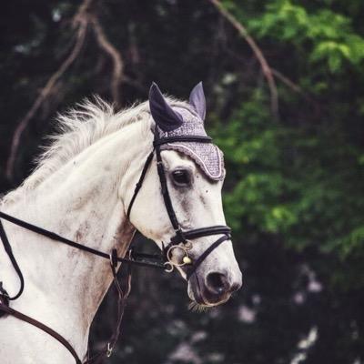 ‏ربي أسألك الجنة لحبيبه أنجبتني وغالي ختم اسمي به.