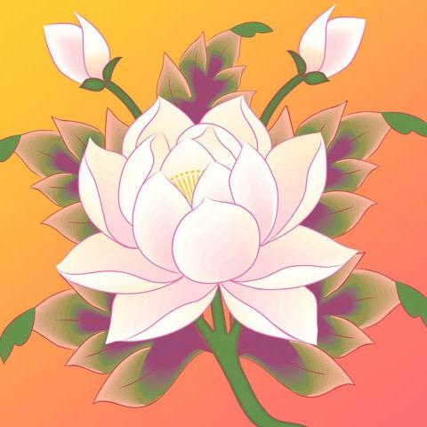 PETALUMAMBMC's profile picture. Mahakaruna Kadampa Buddhist Center, Penngrove, CA