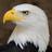 yalwinonastate's profile image