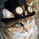 Monica Keefe - @monica_keefe - Twitter