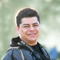 Mauro Strione (@maurostrione) 's Twitter Profile Photo