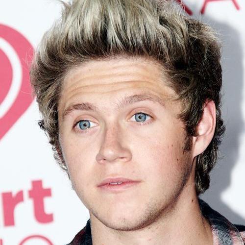 Mi novio:Niall Horan.Mi cuñado:Greg Horan.Mi suegra:Maura Gallagher.Mi suegro:Bobby Horan.Mi sobrino:Theo Horan.Directioner por siempre!