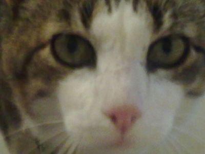 e2dc5ea2fee248f's profile picture. Eres lo k haces,no lo k pretendes hacer.