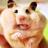 CoolestCritters's profile image