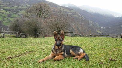 Lena, Asturias.