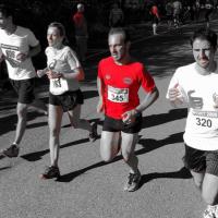 Alsace Running (@strasrunning) 's Twitter Profile