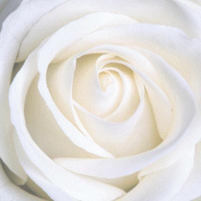 virtues4YW's profile picture. 