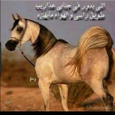 PIN: 535BF17E