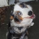 Barbara Soto - @BarbSoto91 - Twitter