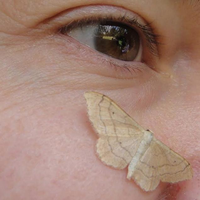 nmahieu's profile picture. Frenchwoman in London - likes nature, cats, allotmenting - often seen in @MargravineCem - manages @FaBPeregrines