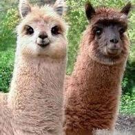 Austin29308030's profile picture. 