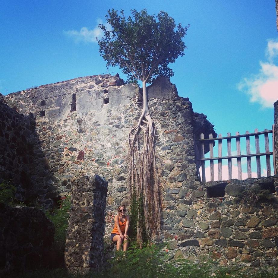 Jenny_Kane's profile picture. I cover #marijuana, #BurningMan, arts & culture for the @RGJ and @USAToday in Northern Nevada. I love motel signs, music and the great outdoors. #Reno