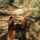 Lorrie Phillips - @rockinlfranch - Twitter