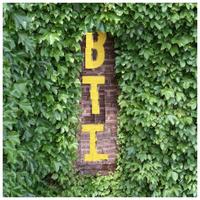 Andy (@behind_the_ivy) 's Twitter Profile Photo