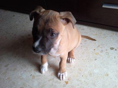 Oscarperza's profile picture. 