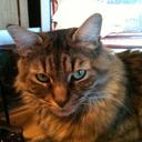 Dawn Oldfield - @dawn_oldfield - Twitter