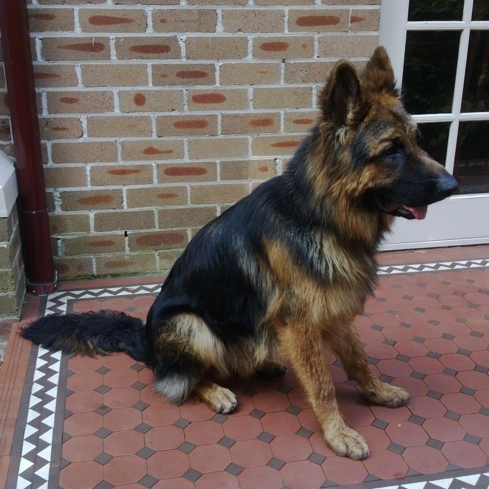 KensingtonWoods's profile picture. 