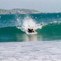 Surf Geek (@surffrgeek) 's Twitter Profile