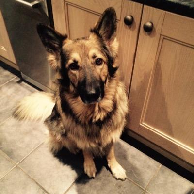 MrProfusionJC's profile picture. Gamer @xbox @playstation @steam and Villa fan #UTV 😘 #TheExpanse #DeathStranding #ArcRaiders #NoMansSky