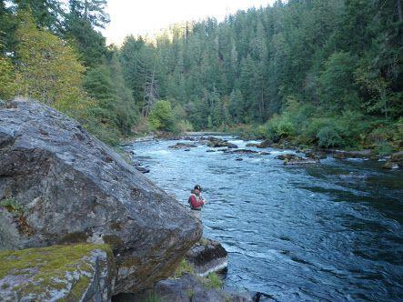 herdimple's profile picture. Fisher, Hiker, Wild, Nature, Travel, Safari