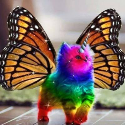 htowninthehizzy's profile picture. 