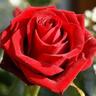 nomis_48's profile picture. Un desván lleno de moda, belleza,  salud, gastronomía, hogar, actualidad, prueba de productos y muchas  cosas más. Contacto colaboraciones ✉️vicensiar@gmail.com