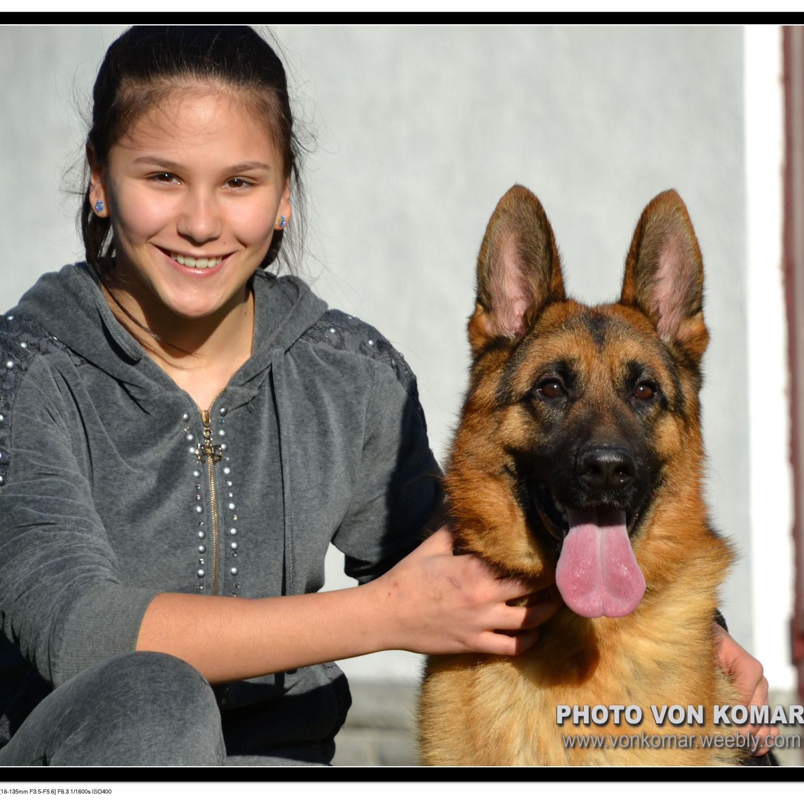 We are breeders of top german shepherds dogs.Our breed is based on great character,super anatomy and very strong european bloodline.We are located in Serbia.