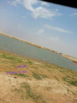 amwa6867's profile picture. ‏‏صلاح امرك للأخلاق مرجعه فقوم النفس بالأخلاق تستقم