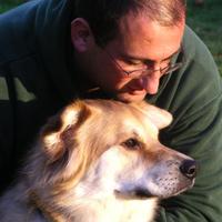 Danny Simmons (@simmdan) 's Twitter Profile Photo Danny Simmons (@simmdan) 's Twitter Profile Photo