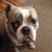 Patti_2BMeAgain's profile image