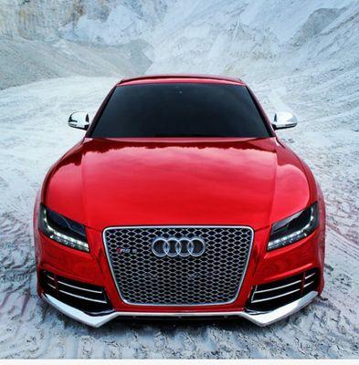 notaudi100's profile picture. 