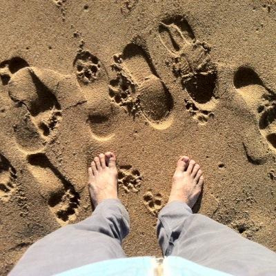 91nito's profile picture. Este es el clasificación B.