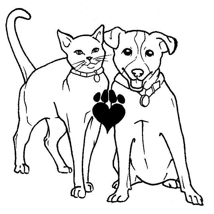 PawedPals's profile picture. https://t.co/uGRnSvP8gF