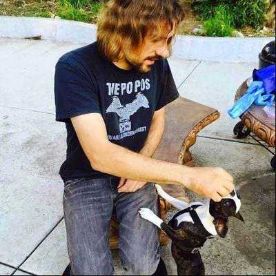 Offering dog walking, training and more! I provide a unique, positive reinforcement, stress-free, and reward-based training method and philosophy.