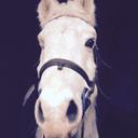 _Kayla Thomson_ - @Kayla_Thomson_ - Twitter