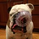 Amy Yeager - @AYeager2000 - Twitter