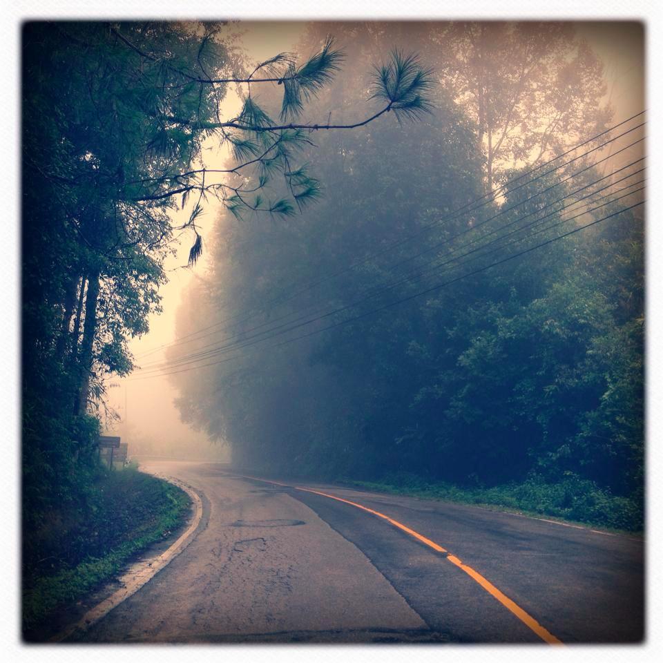 Meriadec_'s profile picture. 