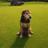 MartinLowe77's profile image
