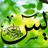 Surat_Yasin's profile image
