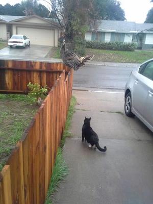 hudnall56's profile picture. He/him - A Veritable Paint Goblin