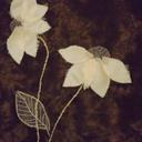 joy burrows - @JellybeanuJoy - Twitter