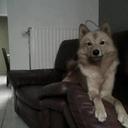 Donna Litzou - @donna_litz - Twitter