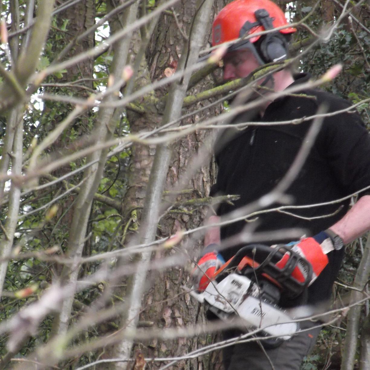 Work in conservation delivery. Enjoy sticking a net in ponds, fungus & bushcraft. Musically stuck in Madchester.