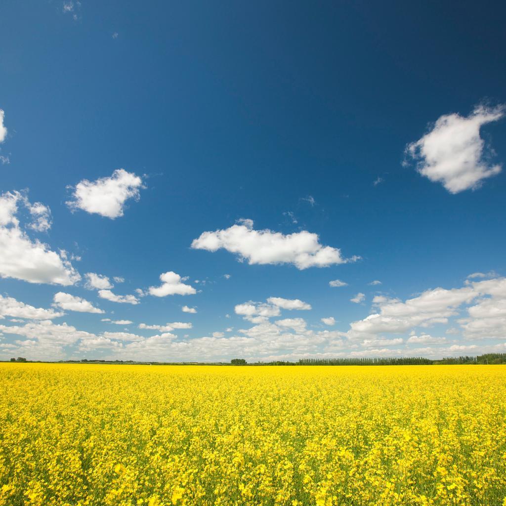The only independent agricultural retail located in the Swan River Valley. We provide the highest quality of products, information and service to our customers.