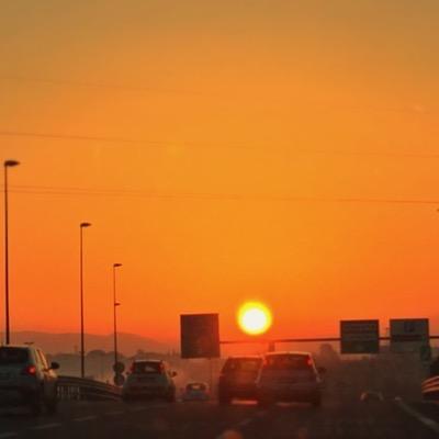 rabazzoni's profile picture. 