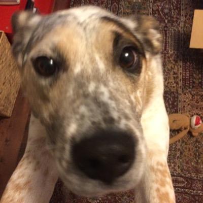 awineguyonLI's profile picture. 