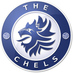 TheChels.Org (@TheChelsOrg) Twitter profile photo