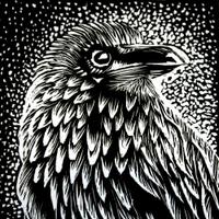 Vicky Holbrough (@vickyholbrough) 's Twitter Profile