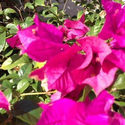 blondt82's profile picture. 