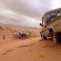 عشق بدوي (@malotaibi668) 's Twitter Profile Photo
